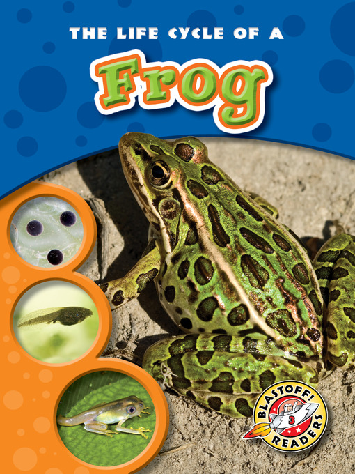 Cover image for The Life Cycle of a Frog
